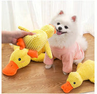 Pet Supplies