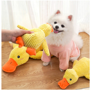 Pet Supplies